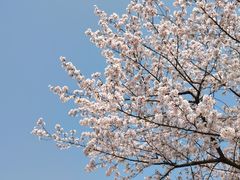 -尚湖风景区