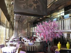 -金轩中餐厅 Jin Xuan(浦东丽思卡尔顿酒店)