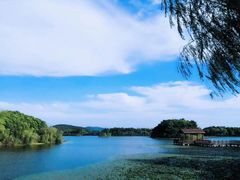 -上海市保健医疗中心