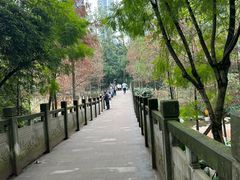 -重庆彩云湖湿地公园