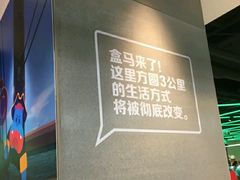 -盒马鲜生(大成店)