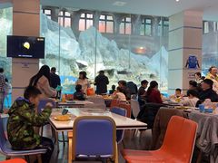 -帝企鹅自助餐厅•儿童岛•真企鹅(长隆企鹅酒店)