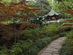 -申粤轩酒楼·三十年粤菜经典(丁香花园店)
