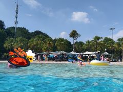 -重庆海昌加勒比海水世界