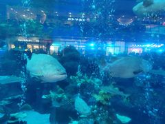 -成都浩海立方海洋公园