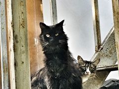 -陕西省游泳跳水馆