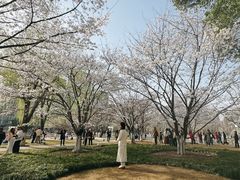 -西北湖绿化广场