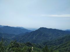 -大岭沟猕猴桃谷风景区