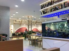 大堂-喵园·猫主题咖啡厅·撸猫·猫咖(国贸店)