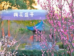 -无锡梅园公园