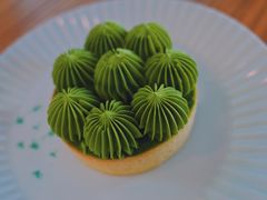 抹茶挞-猫里有甜
