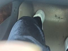 -徐记海鲜(曲江南湖店)