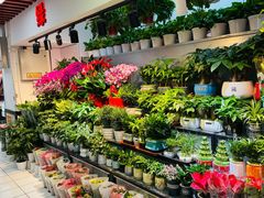 -天丰利生活MALL(和平里店)