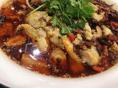 -八张桌子(老店)