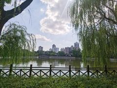 -迎泽公园