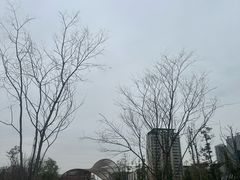 -三圣花乡旅游区