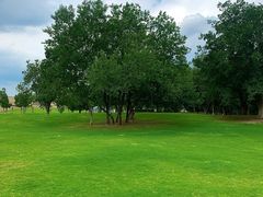 -盘龙城国家考古遗址公园