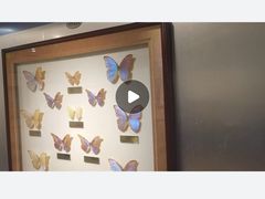 -上海昆虫博物馆