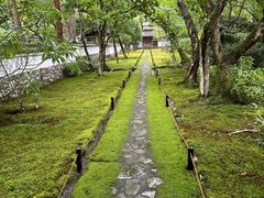 -西芳寺(苔寺)