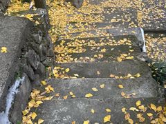 -众神白水涧景区