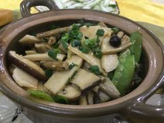 -杏坛公平靓正(伦教滨江店)