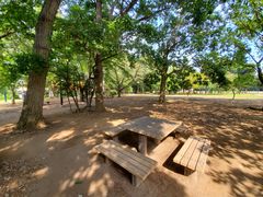 -三鹰之森吉卜力美术馆