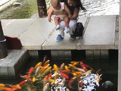 -三亚亚龙湾五号度假别墅酒店