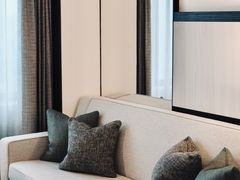 -新加坡乌节希尔顿酒店 (SG Clean)