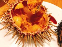 -海胆小馆(东北水饺·春柳店)