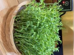 -洪氏嗨捞·猪肚鸡火锅(阳光天地店)
