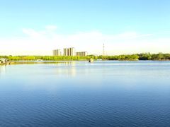 -大兴滨河森林公园