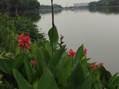 -南国桃园旅游度假区