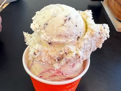 -Patagonia Chocolates(皇后镇店)