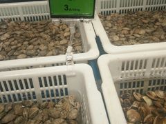 -豫满楼(郑东新区店)