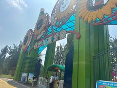 -西部长青自然儿童乐园