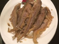-新南华大酒店(长寿店)