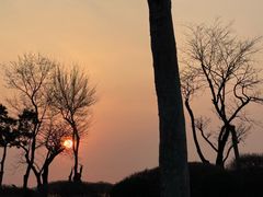 -青岛东方影都融创水世界