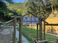 -天台国家森林公园水上茶乡九鹏溪