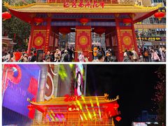 -越秀西湖花市(广州城市广场花卉店)