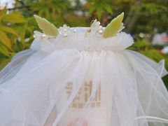 -茉沏(光启城店)