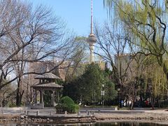 -玲珑塔公园