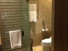 -九华山聚龙大酒店