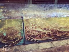 -蟹之国·精品蟹料理(极地店)