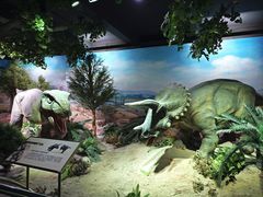 -国家自然博物馆