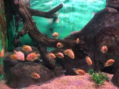 -常州海昌海洋探索馆