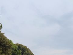 -苏州上方山国家森林公园