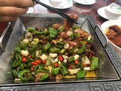 -邵年鸽(杨庄店)