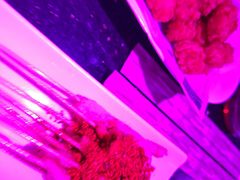 -音乐虫量贩式KTV(大悦城店)