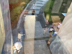 -上海崇明金茂凯悦酒店