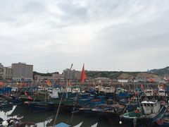 -枸杞岛